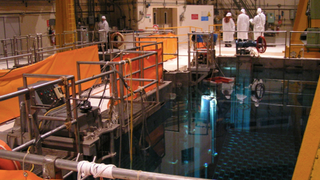 Mysterious "white web" found growing on nuclear waste